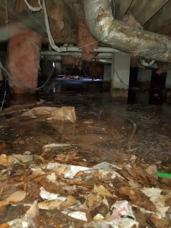 Crawl space flood assessment for Leak Detection & Repair in Republic